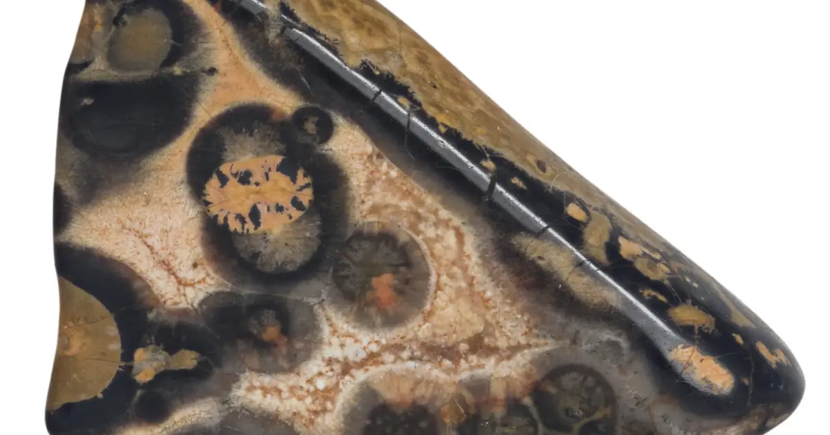 What Are The Uses Of Leopard Skin Jasper  
